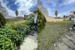 Yard cleanup in Palmdale, CA. before and after clearing overgrown backyard brush and weeds.