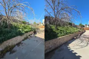Side-by-side images of a dry garden bed with bare trees and surrounding walls.